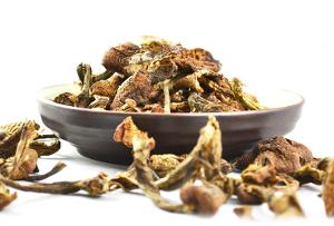 通化力神野生榛蘑