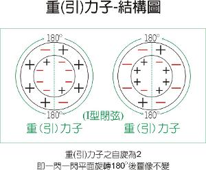  引力子-内部结构模型图