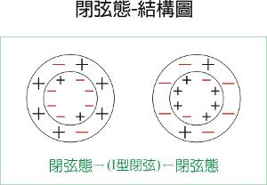  “闭弦”-内部结构模型图