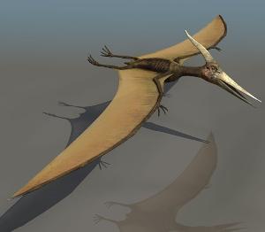 cf翼龙箱什么时候能开出气锤和m249