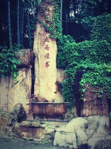   炎陵一中校园一景