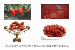 枸杞鲜果