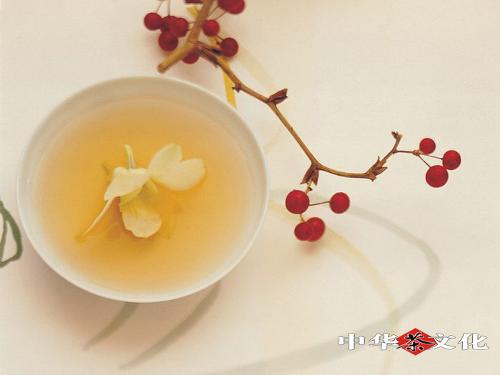 江苏名茶——二泉银毫