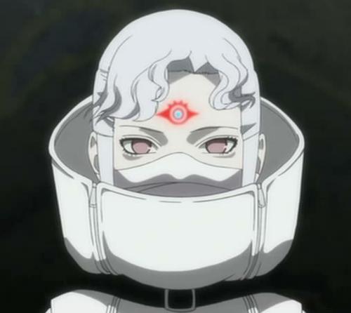 火影忍者疾风传火之意志继承者