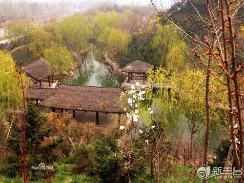 红叶风景