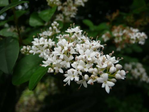 秋季管理