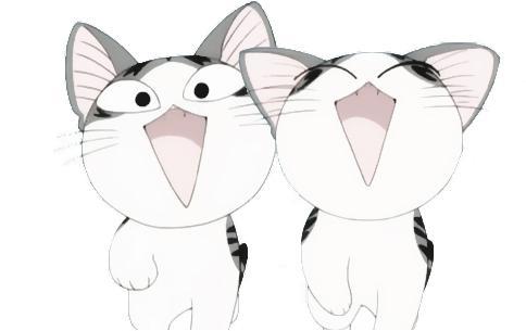 甜甜私房猫