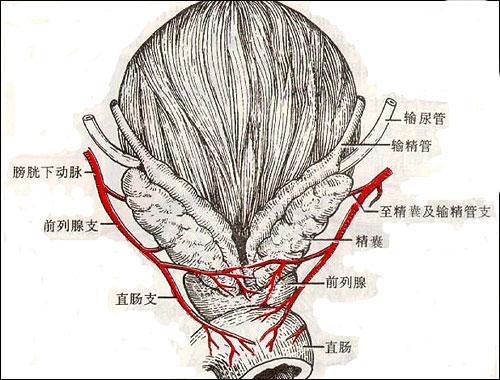 卵巢破裂