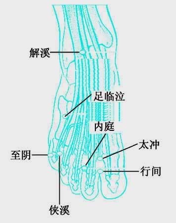 足臨泣穴