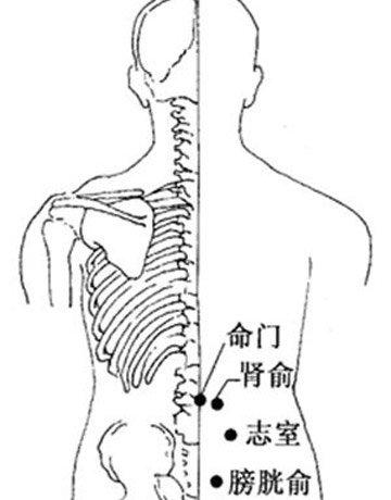 命门穴