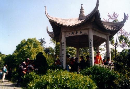 校园风光
