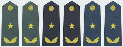 陆海空军少将常服肩章(2007～)