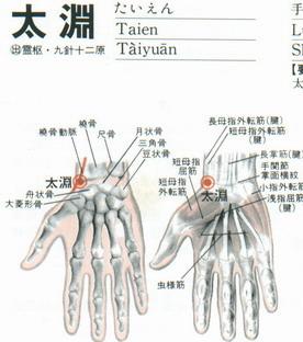 太渊穴