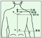 陶道穴