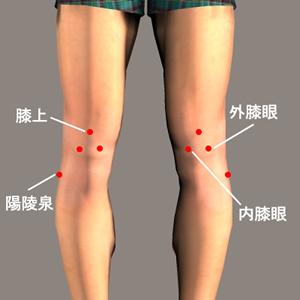 膝眼穴
