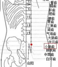 小肠俞穴 搜狗百科