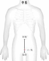 中极穴位于人体下腹部,前正中线上,具体找法如下:将耻骨和肚脐连线五