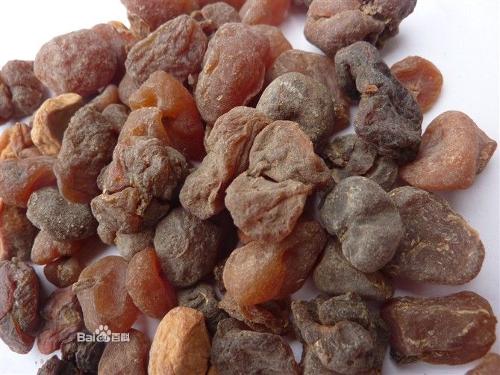 【别名】假贝母   【来源】本品为葫芦科植物土贝母bolbostemma