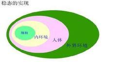稳态的实现