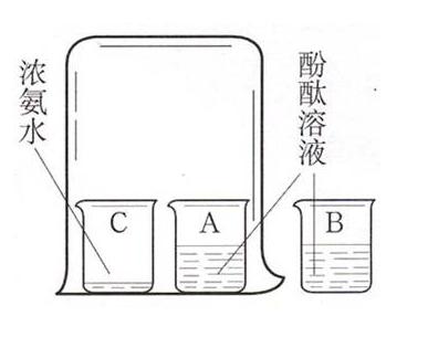 果导片说明书图片