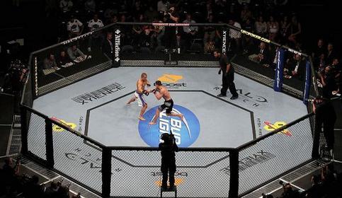 ufc-百科