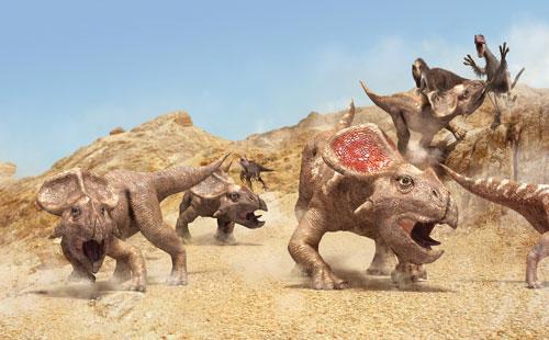 gost镜像系统怎么安装不了