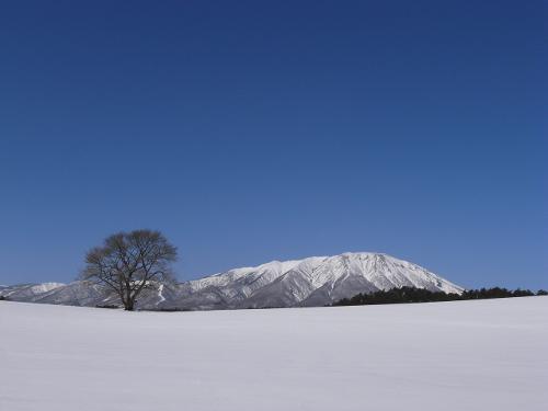 场景