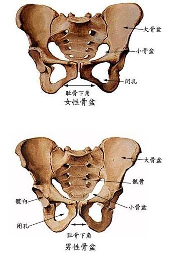 病變向前發展,將穿破前方關節囊或骶骨,膿液流到腰大肌與髂肌間,肌內