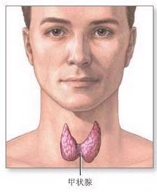分娩后甲状腺肿大