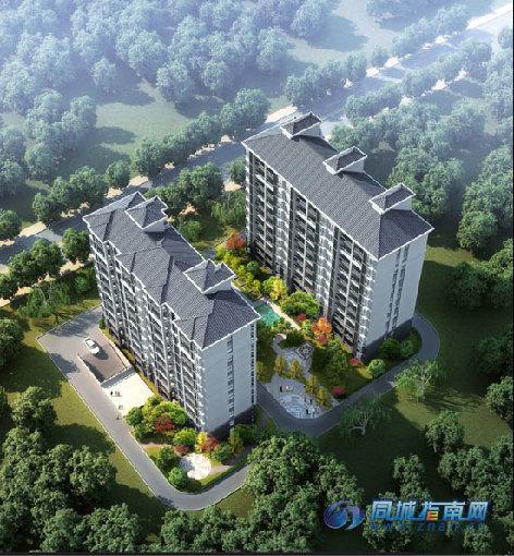 杰强·江南明珠