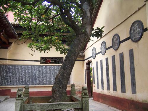 昙华寺