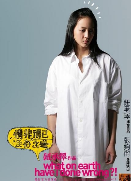 《情非得已之生存之道》海报