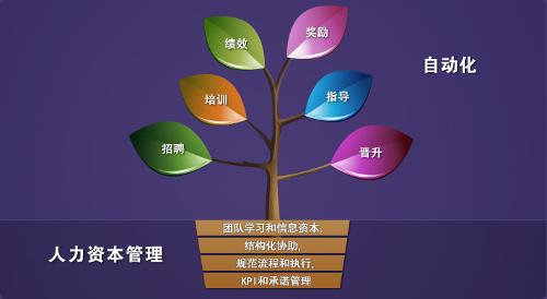 8thManage人力资源管理系统