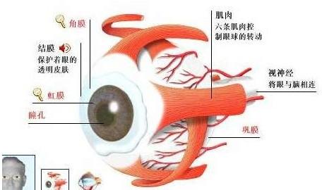 共同性斜视