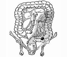大肠梗阻