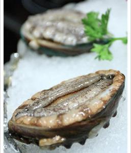 鮑魚英語 Aquarhead