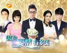 爱情有多美电视剧免费观看全集