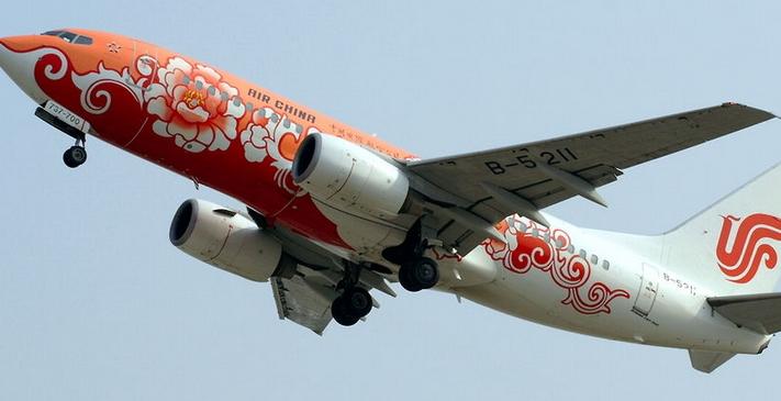 牡丹号彩绘飞机