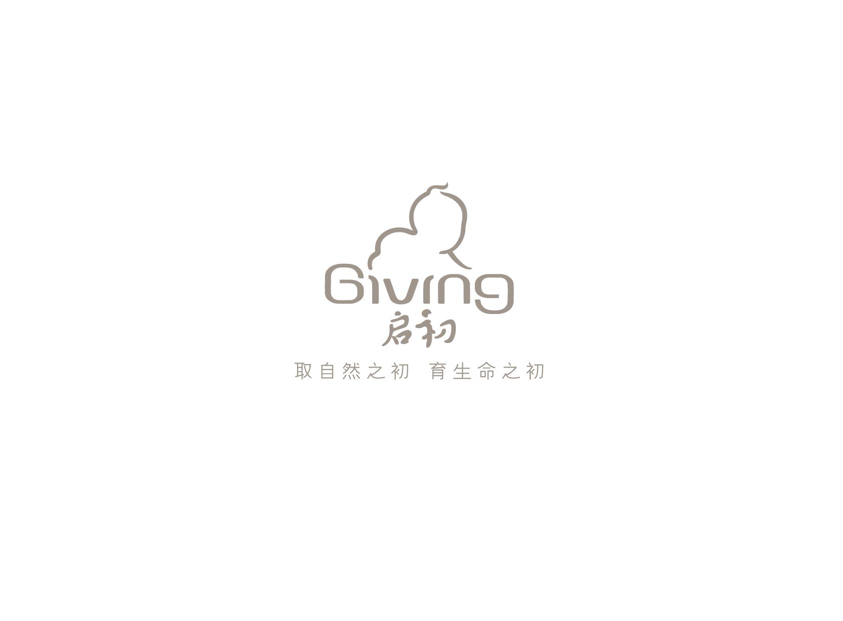 初学者学什么