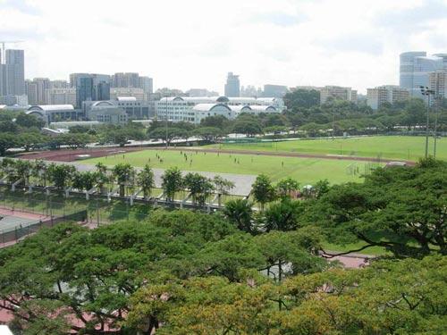 马来亚大学