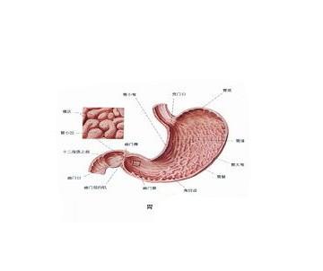 成语肠什么热_成语故事图片(2)