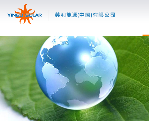 海南英利新能源有限公司
