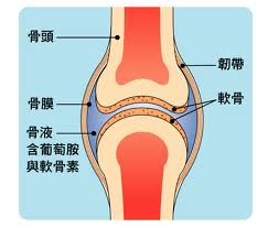 關節液增加 - 搜狗百科