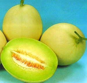黄河蜜