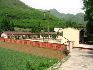 金家河镇