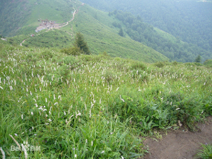 驼梁山景区