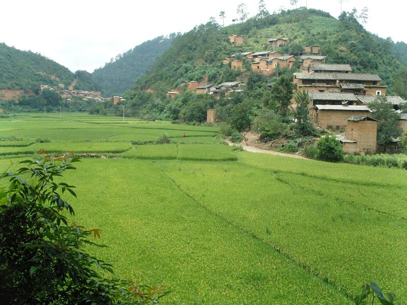 红果树村(云南省建水县利民乡红果树村 搜狗百科