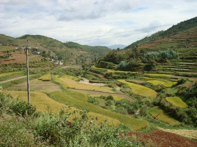 該行政村隸屬隆陽區漢莊鎮,地處漢莊鎮西邊,距漢莊鎮政府所在地6