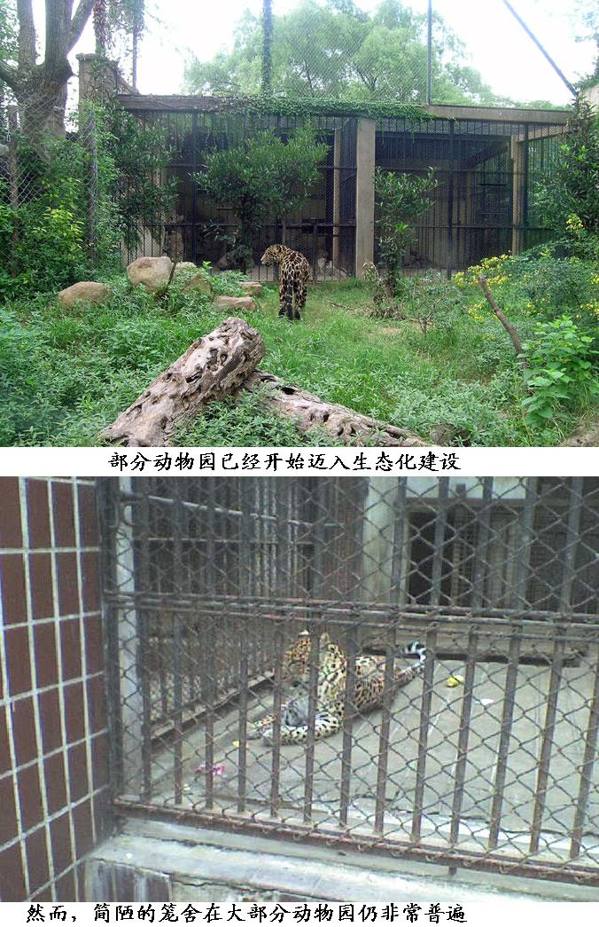 動物園