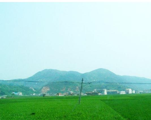 高家庄村
